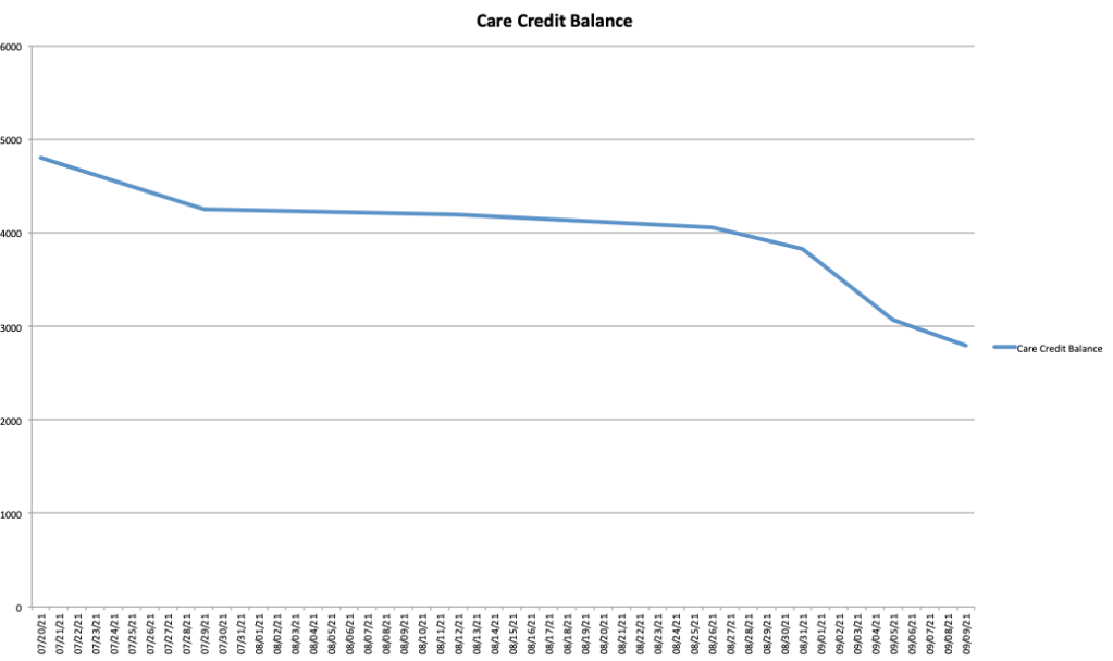 Chart showing Care Credit balance going down.